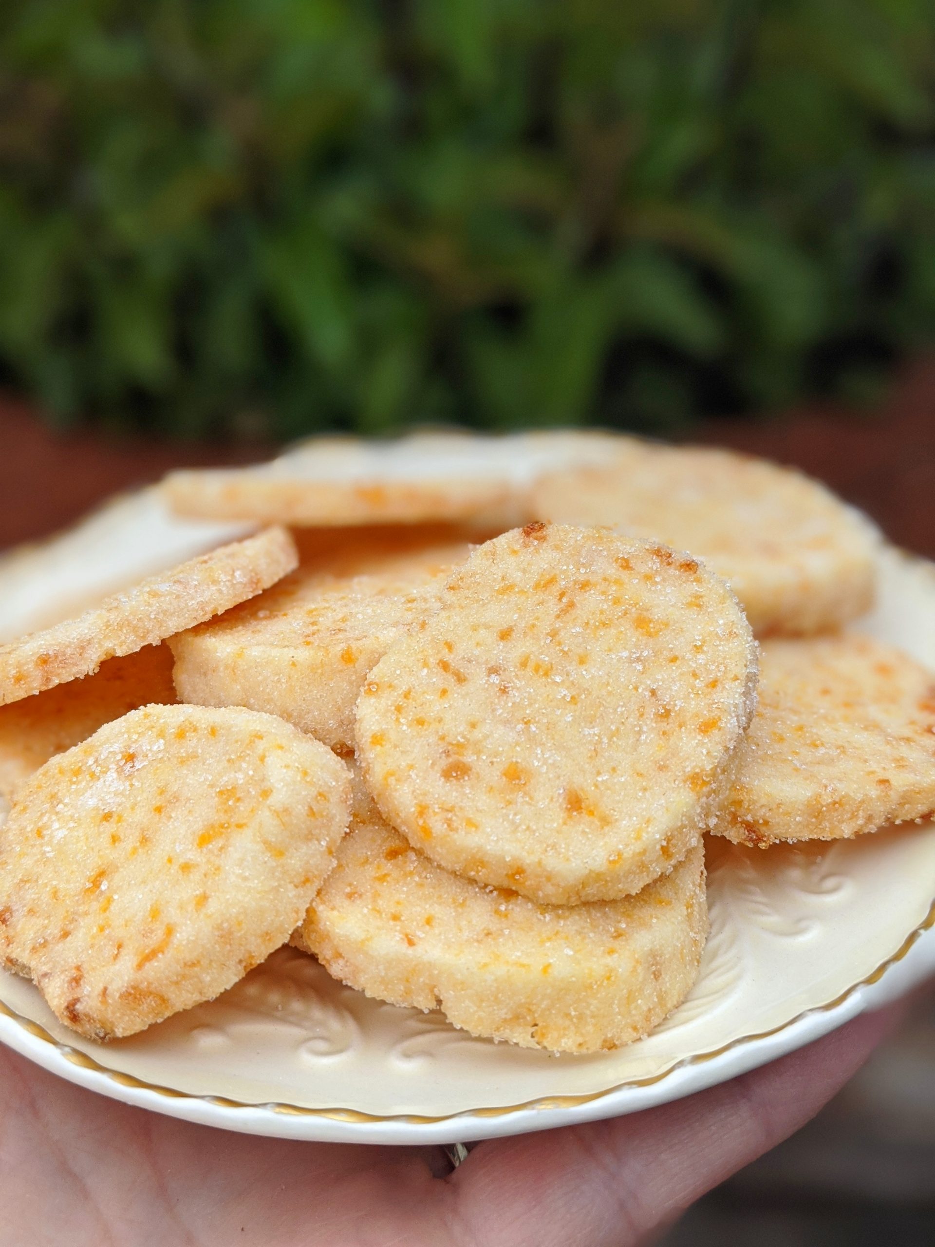 Dried Fruit Shortbread Cookies Grandma Ingrid's Kitchen