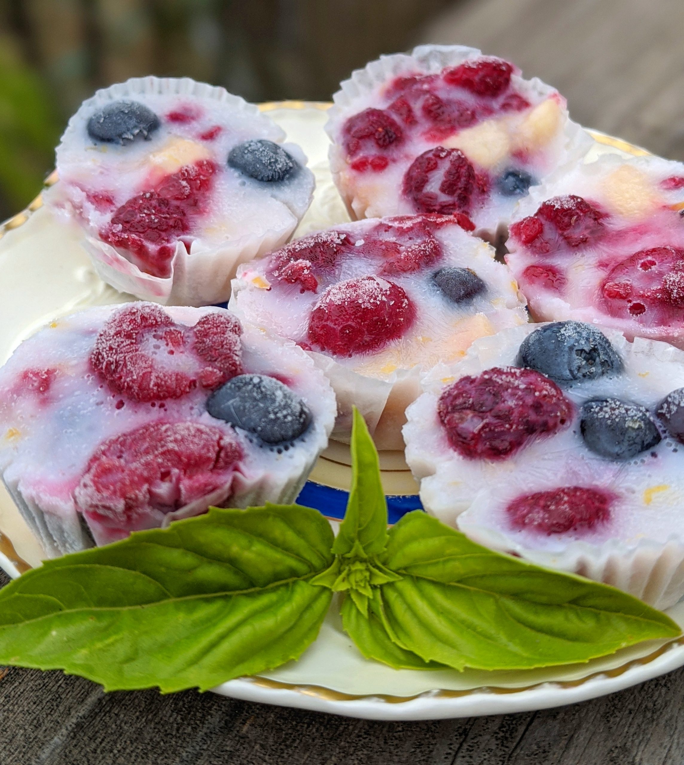 Frozen Fruit Cups Recipe 