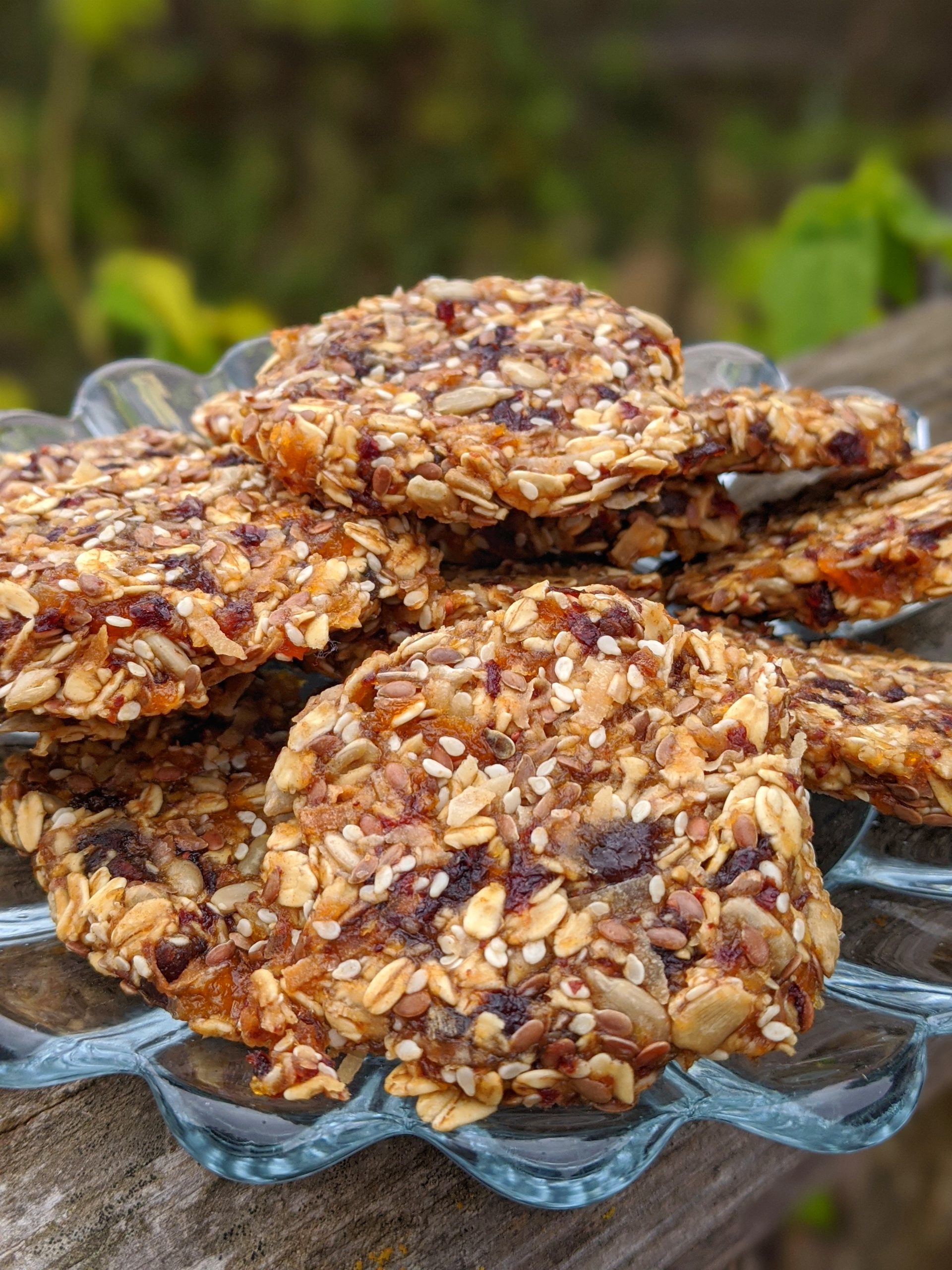 Oatmeal Raisin Dehydrator Cookies